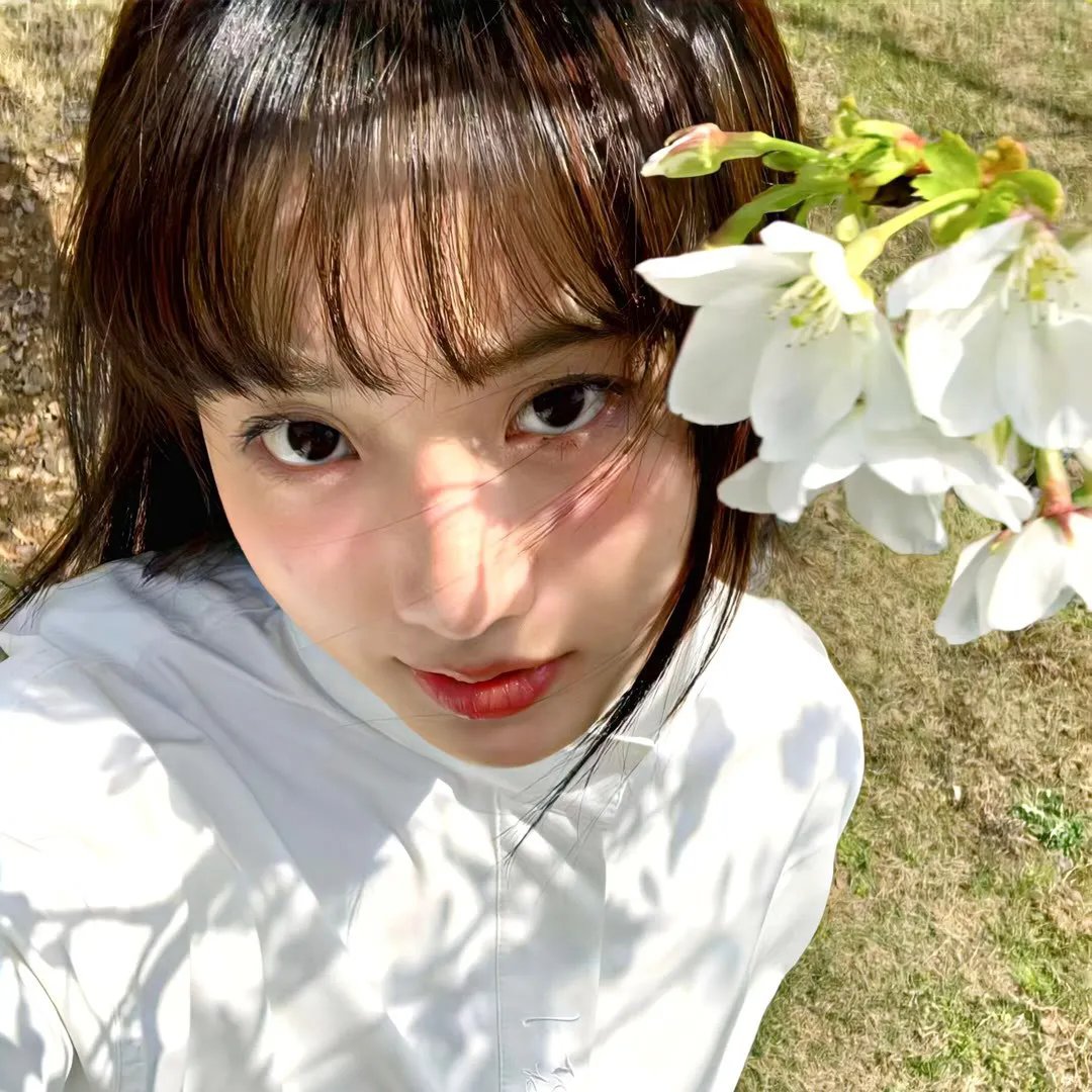 罗莎的自白