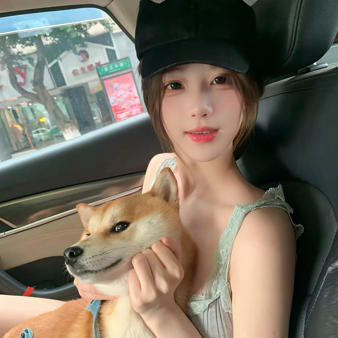 石纪元第四季